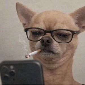 Meet your Posher, tjoestar